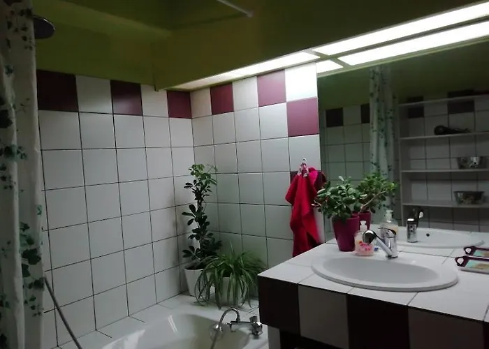 Appartamento Le Katzala Mulhouse